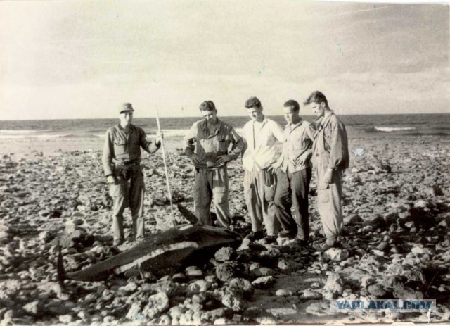 Тайны Лурдес