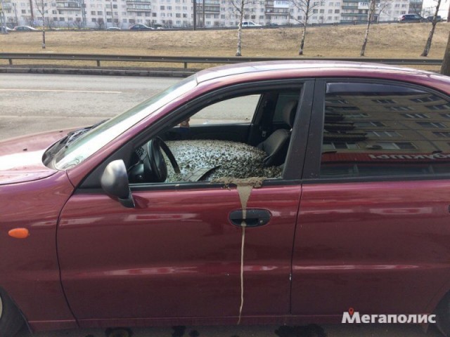 Муж залил машину жены бетоном