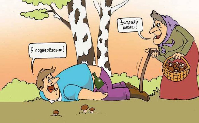А у нас начало грибного сезона