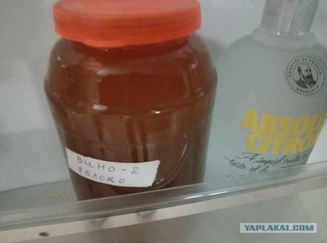 А вот просто лень