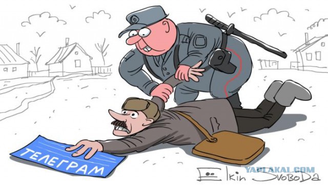 Отчитались "о проделанной работе". Путину доложили о блокировке Telegram