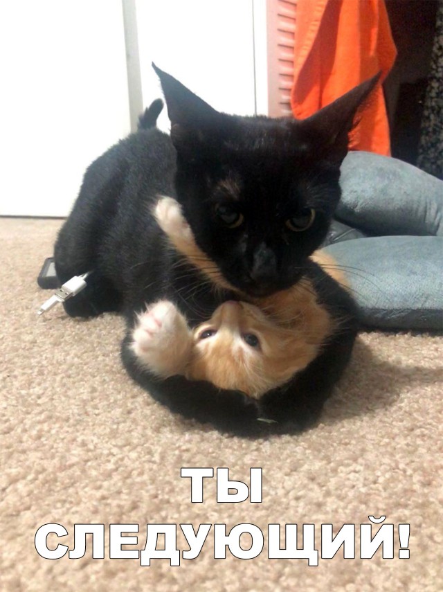 Немного милоты