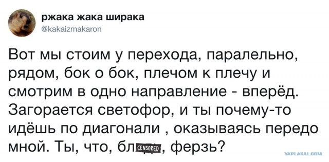 Смешные комментарии из социальных сетей 14.12.2018