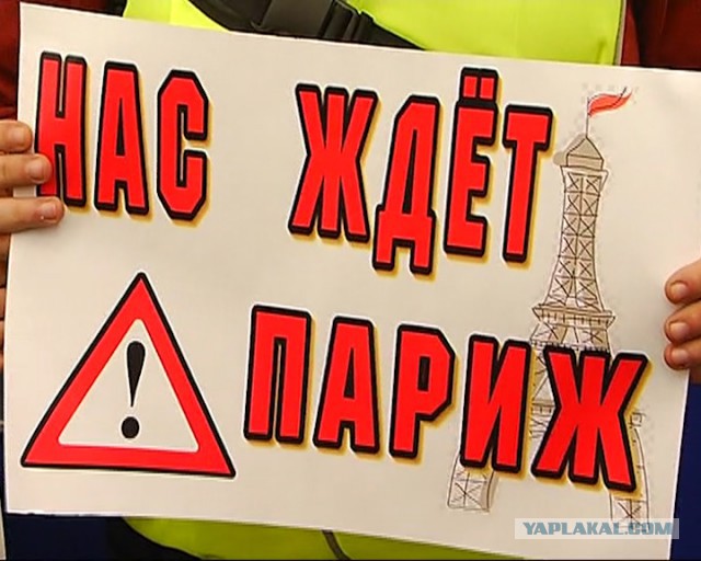 Журналисты в попытке привлечь внимание Владимира Путина подготовили плакаты
