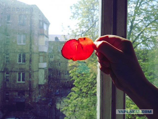 БRESAOЛA моей души