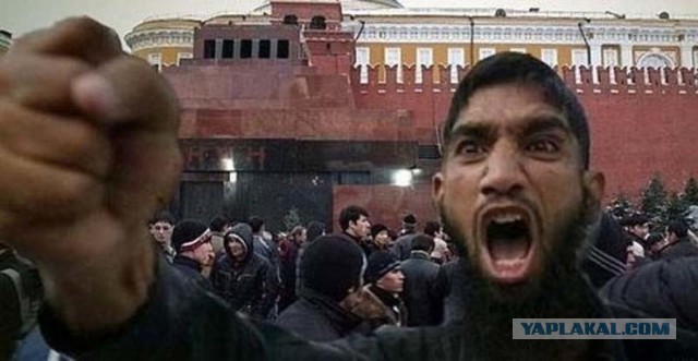 В Москве приезжий накинулся на городской автобус и камнями попытался разбить его, но потом убежал