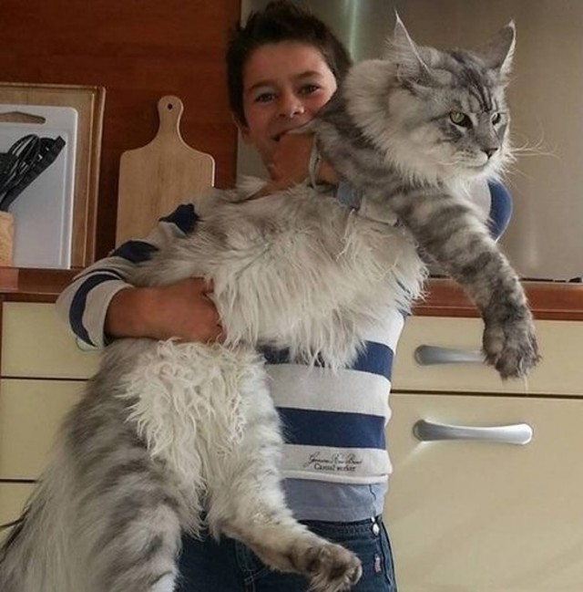 Когда это намного больше, чем мы привыкли видеть