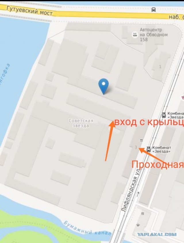 Помогите вернуть кота! Приют "Преданное сердце" украл кота и не отдает!-2