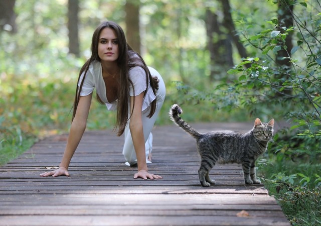 Красивые девушки с котиками