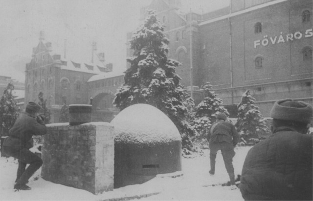 Взятие Будапешта 13 февраля 1945 года.