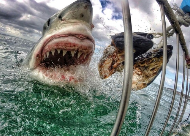Чуток картинок не про вирус  8.0
