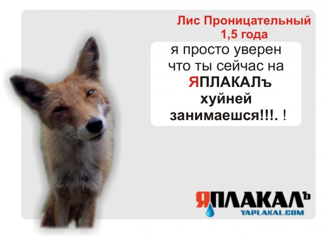 Конкурс фотожабы: Я Люблю ЯПлакалъ