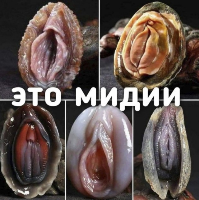 Бредзона 11.01.21