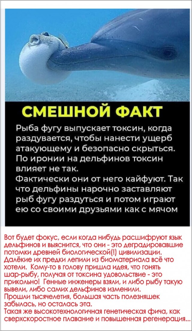 Картинки и мемы для настроения 019