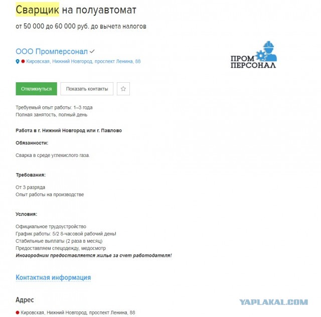 В РФ доля выпускников, собирающихся поступать в вузы, за 11 лет упала в два раза