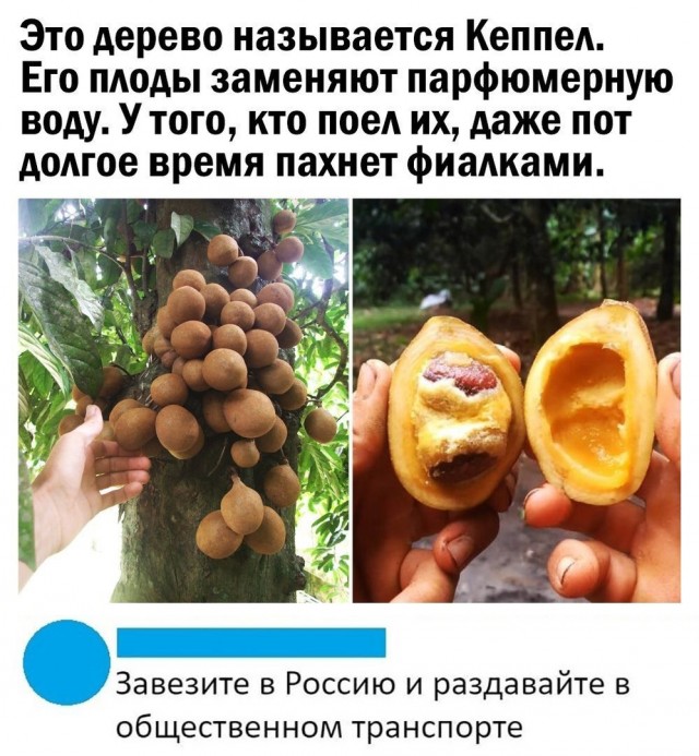 Так себе картинки 01.04.21