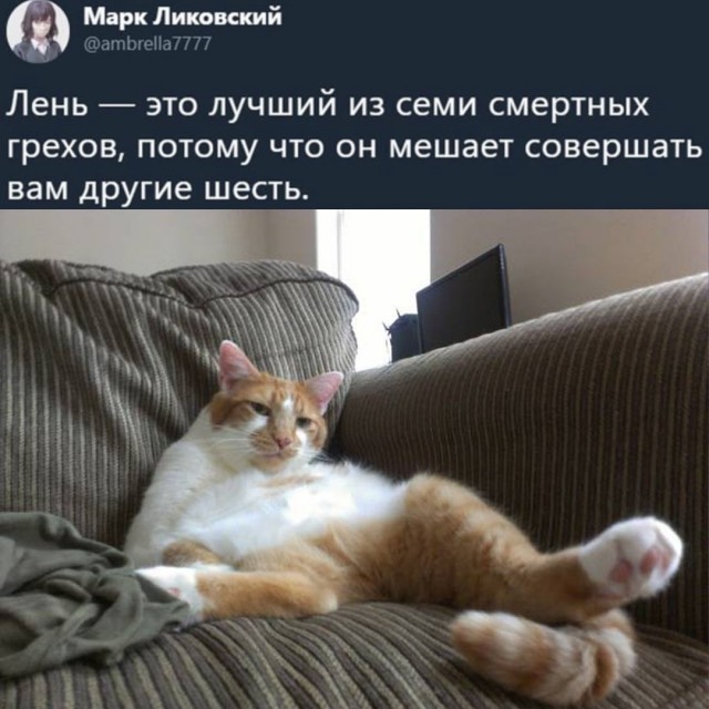 Картинки с надписями и всякие жизненные фразы 07.05.2021