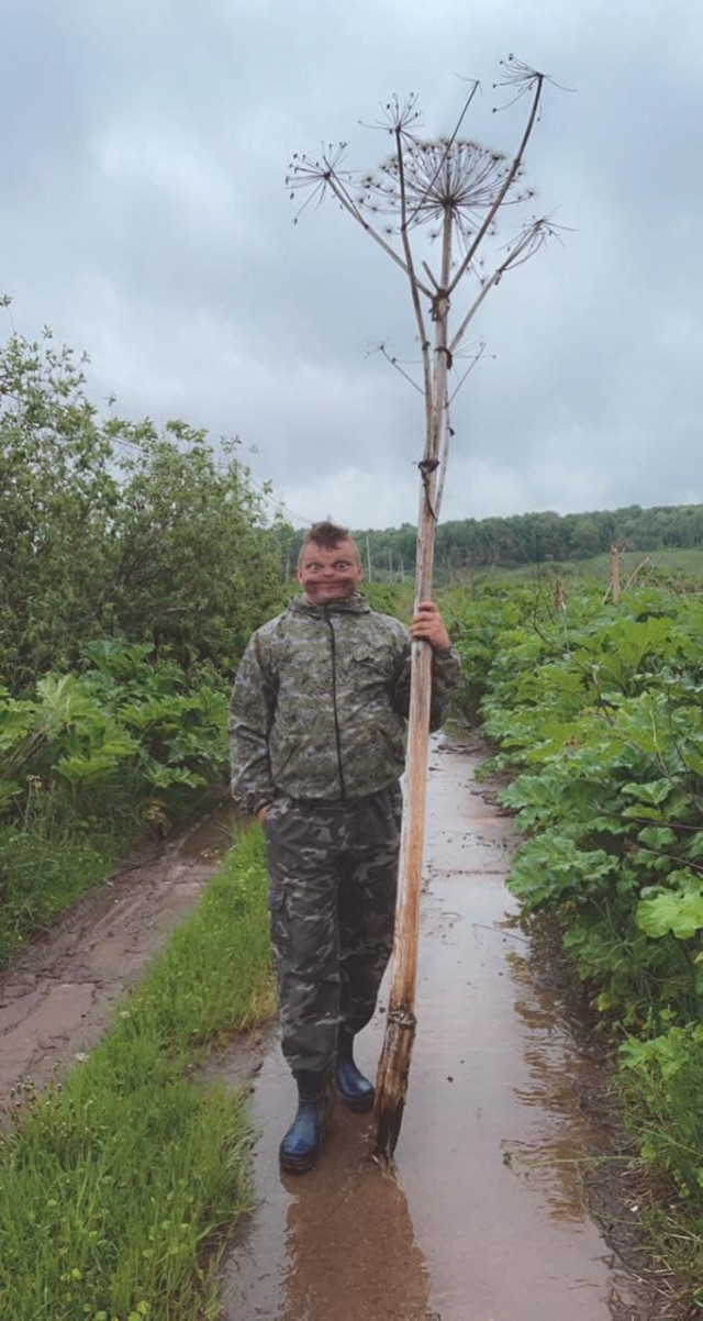 Последняя картинка в вашей Галерее/Загрузках