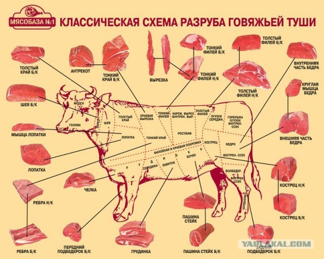 Идеальные пропорции женского тела, коллеги!
