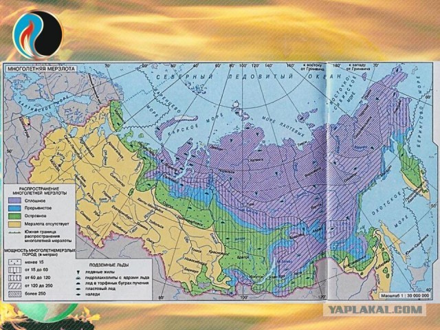 Российские леса постоянно горят, но их биомасса рекордно выросла. Как так вышло и что из этого следует?