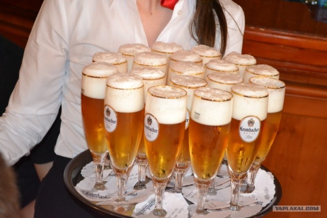 Пятничные посиделки на теплотрассе ©