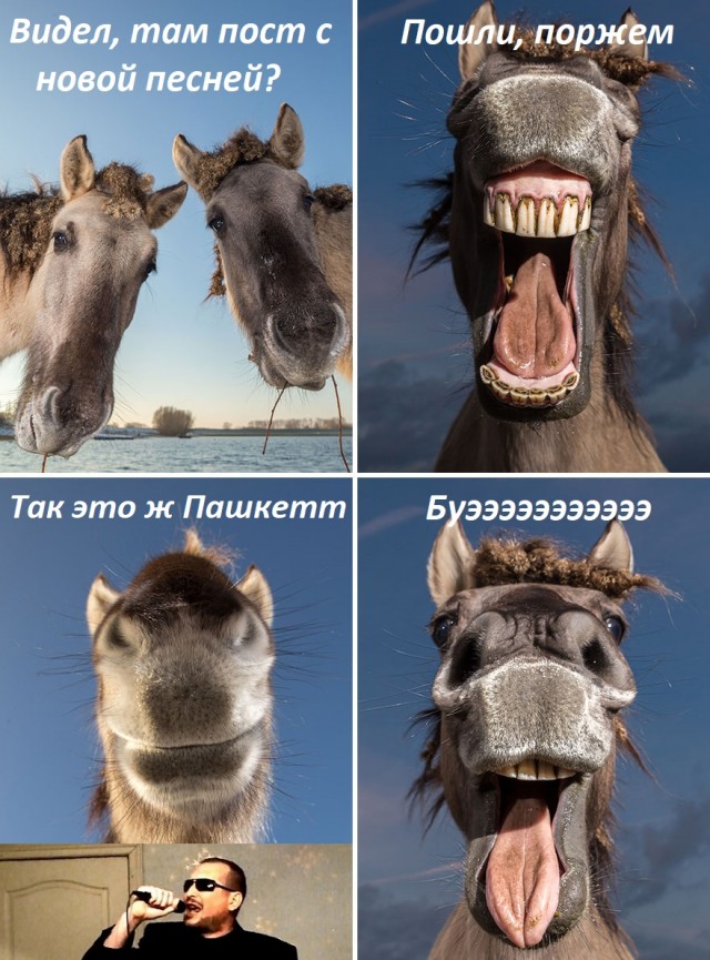 Лучшие фото конкурса Comedy Wildlife Photography Awards 2021