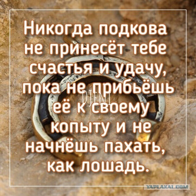 Так себе картинки 15.10.21