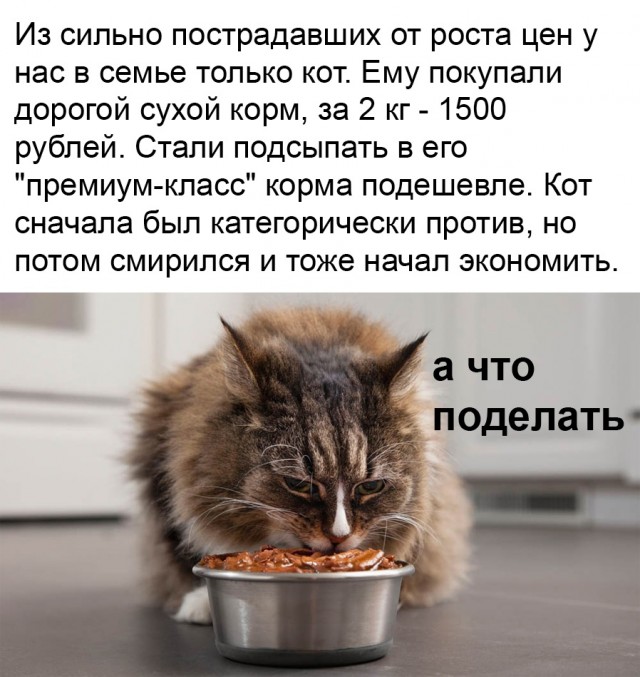 Так себе картинки 09.11.21