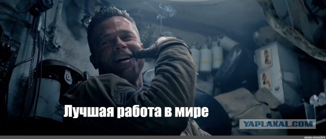 Уничтожение улья гигантских шершней
