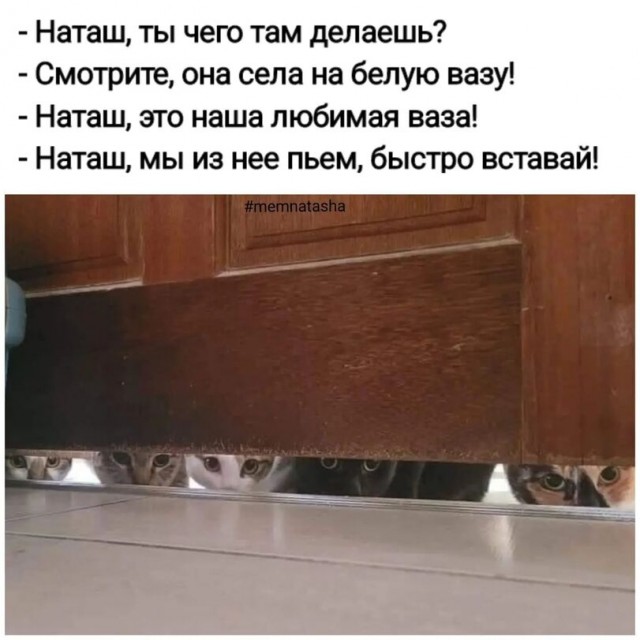 Весёлый полтишок 03.02