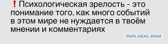 Умная мысль. Пожалуй, соглашусь