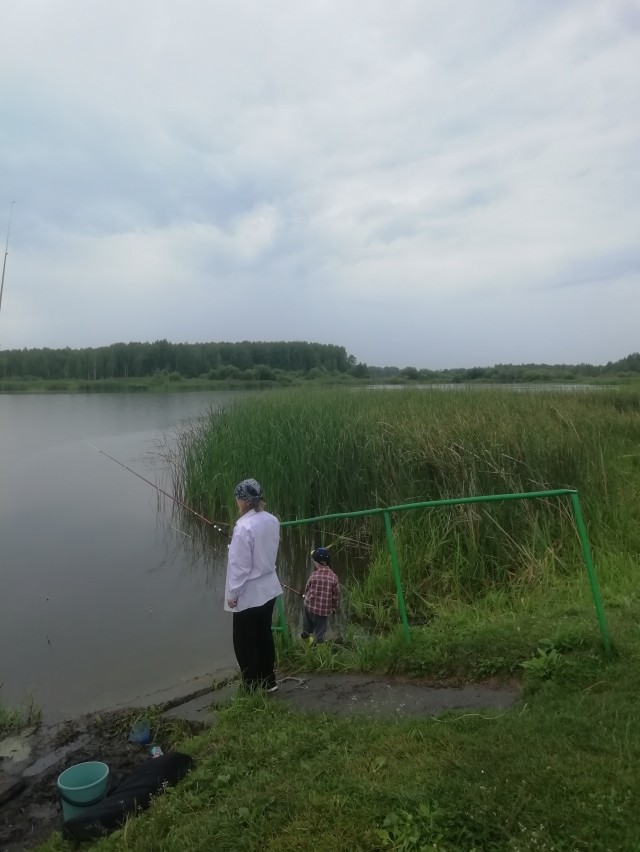 Для успокоения нервной системы