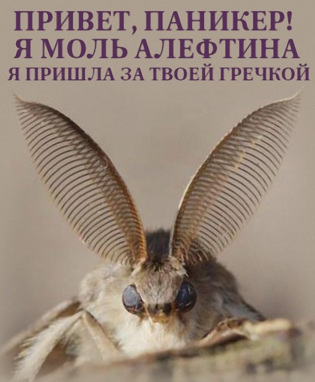 Немного картинок и прочей хреноты Vol. 3
