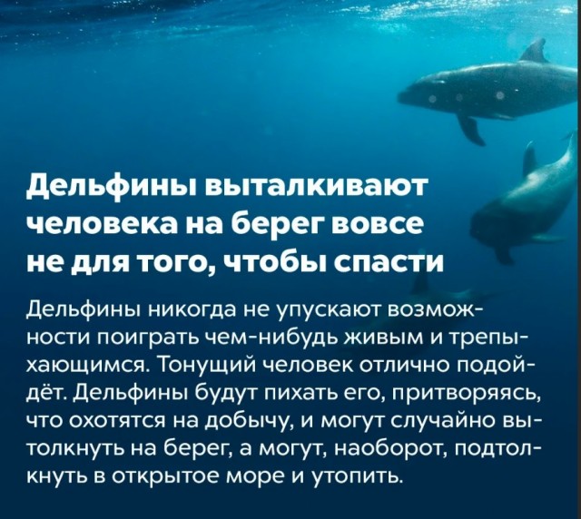 70 удивительных фактов