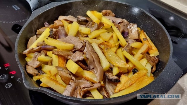 Банальные грибы с картошечкой