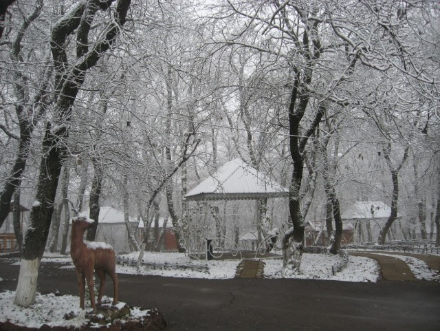 Москва - Баку - Тбилиси - Баку - Москва.