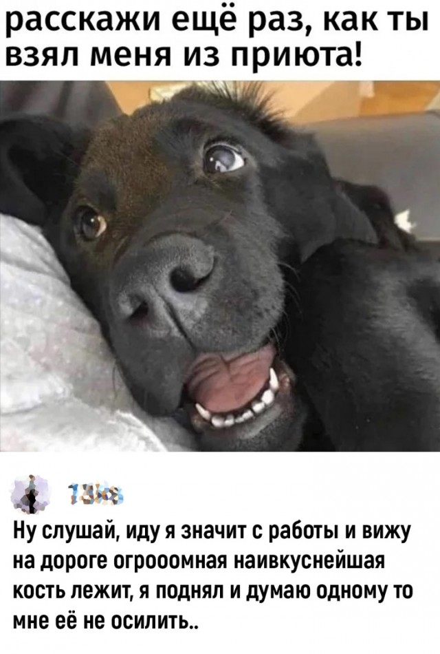 Так себе картинки 15.05.22