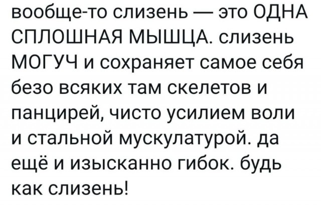 Опасные слизни-каннибалы добрались до Петербурга