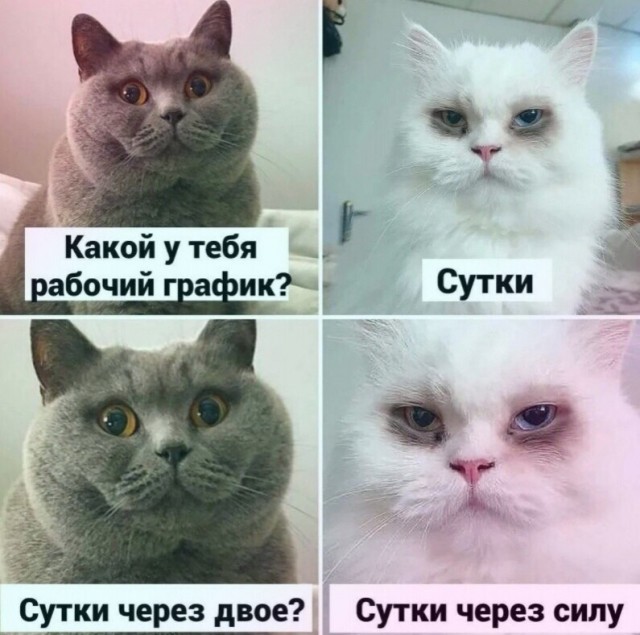 Юмор в картинках и без