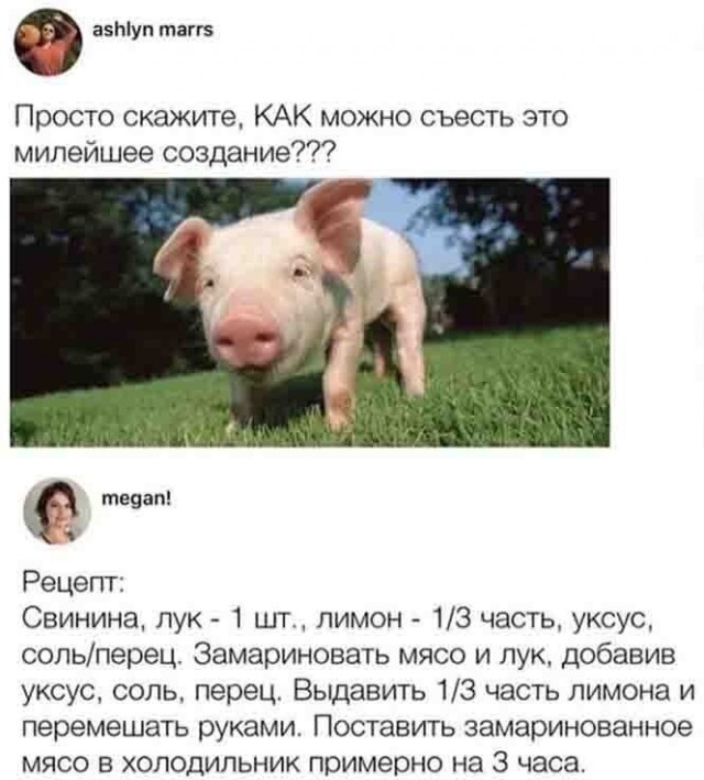Прикольные и просто красивые картинки 06.10.2022