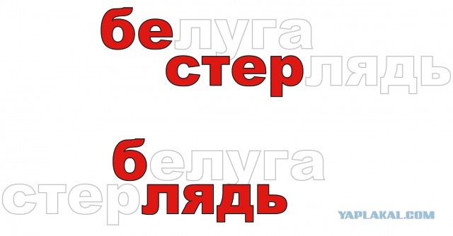 Бестер: Гибрид белуги и стерляди от советских селекционеров. Он оказался лучше родителей почти во всём!