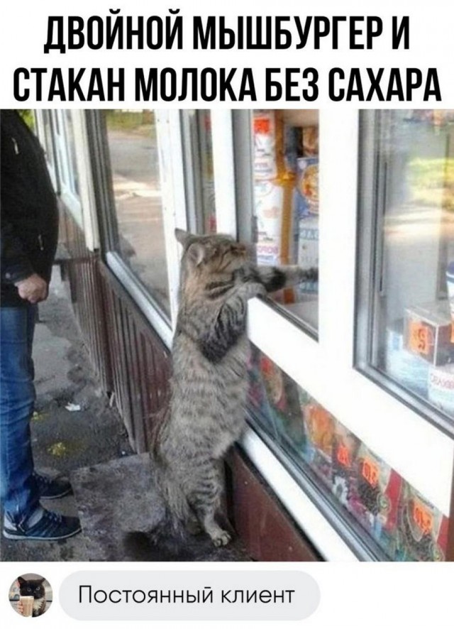 Всем хороших выходных - картинки, мемы и т.п.