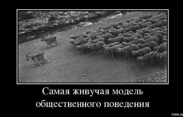 YouTube удалил канал шоумена Бочарова
