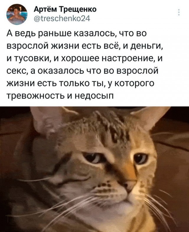 Подборка картинок 06.05.2023