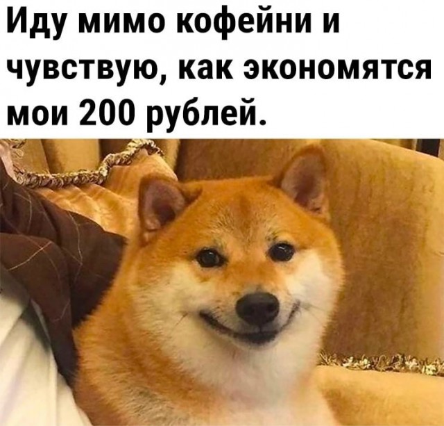 Так себе картинки 04.06.23