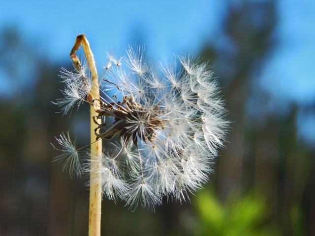 Природа Южного Урала