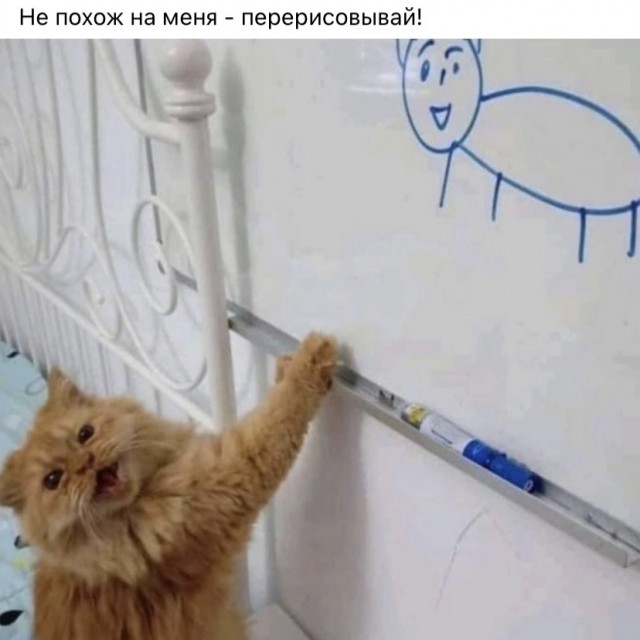Весёлый полтишок 30.07.23