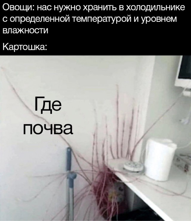 Набор продуктов каждого холодильника