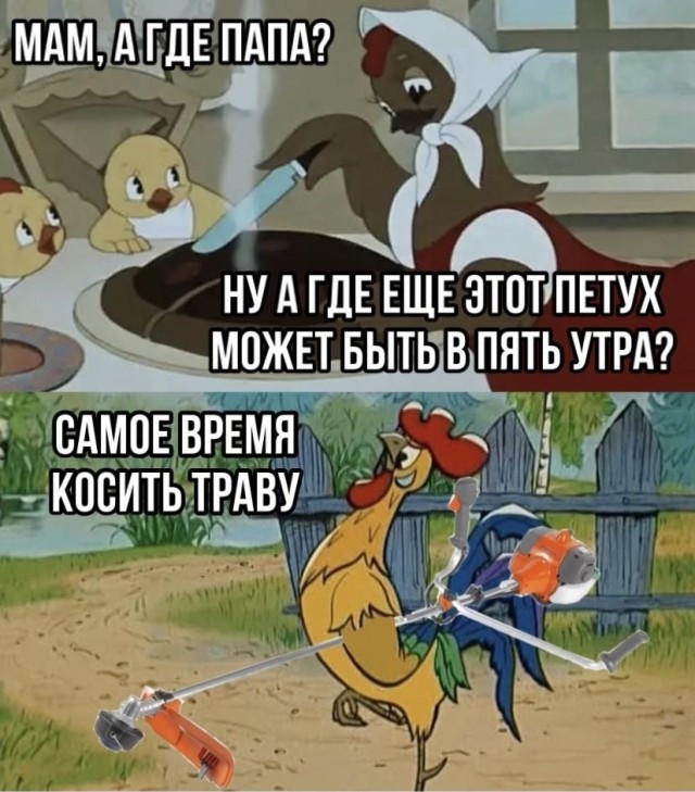 У петуха явно появились вопросы
