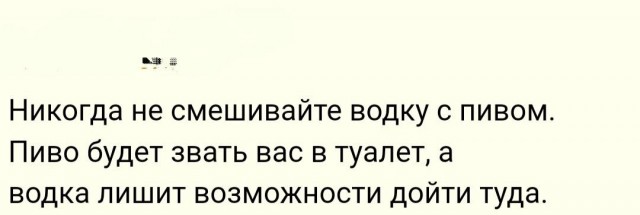 Весёлый полтишок 22.10.23
